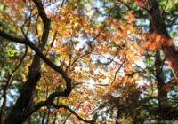 工石山 （高知県高知市）