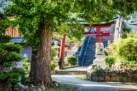 九島 （愛媛県宇和島市）