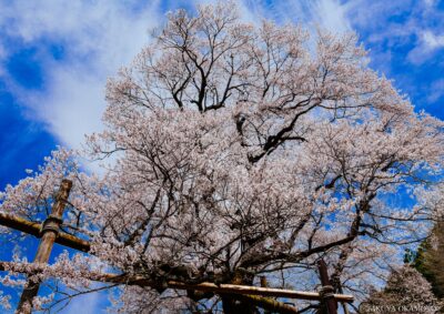 高知県仁淀川町 / 2017