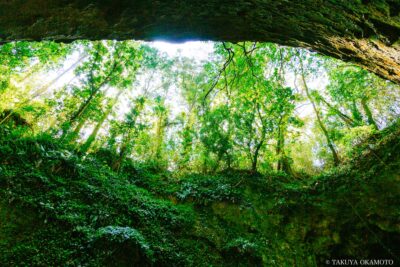 高知県安芸市 / 2017