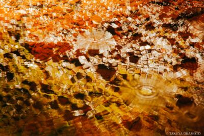 高知県安芸市 / 2017