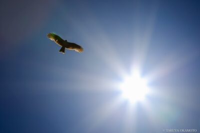 高知県室戸市 / 2017