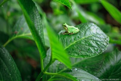 高知県香南市 / 2017