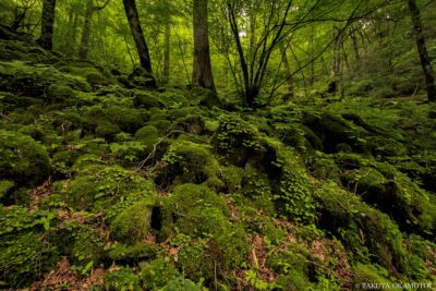 愛媛県西予市 / 2017