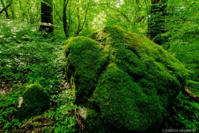 愛媛県西予市 / 2017