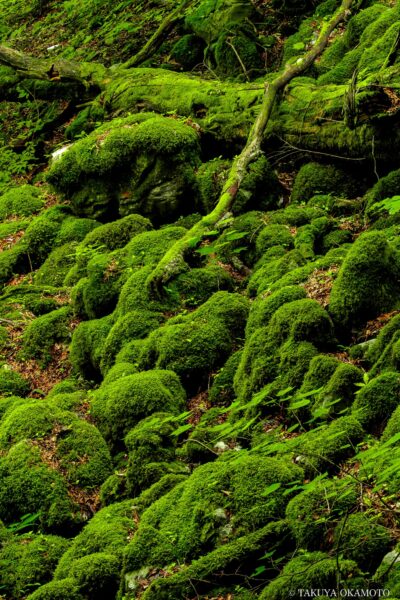 愛媛県西予市 / 2017