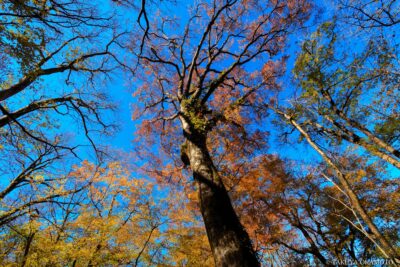 愛媛県西予市 / 2017