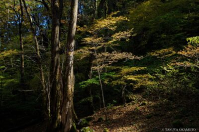 愛媛県西予市 / 2017