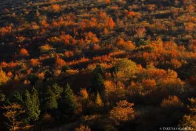 愛媛県西予市 / 2017