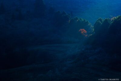 愛媛県西予市 / 2017