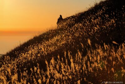愛媛県西予市 / 2017