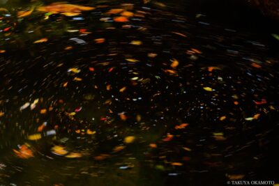 愛媛県松野町 / 2017