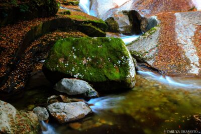 愛媛県松野町 / 2017