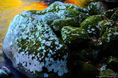 愛媛県松野町 / 2017