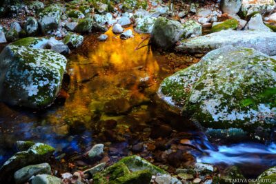 愛媛県松野町 / 2017