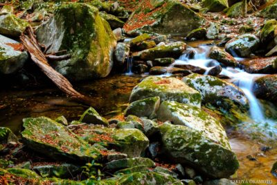 愛媛県松野町 / 2017