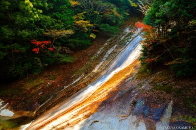 愛媛県松野町 / 2017