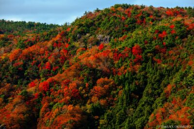 香川県小豆島町 / 2017