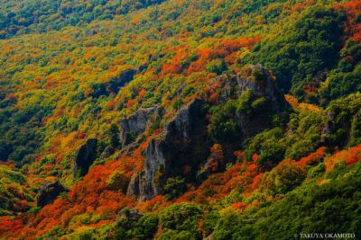 香川県小豆島町 / 2017