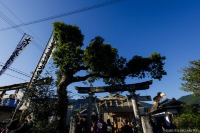 大川上美良布神社秋季大祭（神興祭） 高知県香美市 / 2024