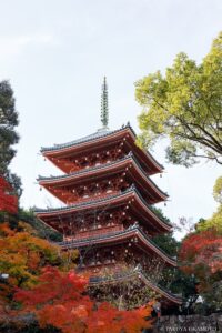 五台山 竹林寺 高知県高知市 / 2024