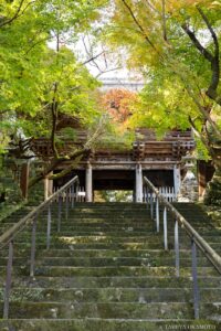 五台山 竹林寺 高知県高知市 / 2024