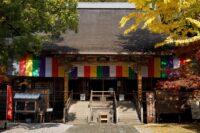 五台山 竹林寺 高知県高知市 / 2024