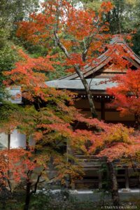 五台山 竹林寺 高知県高知市 / 2024
