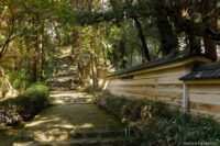 五台山 竹林寺 高知県高知市 / 2024