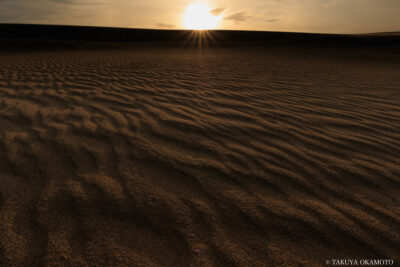 鳥取県鳥取市 / 2023