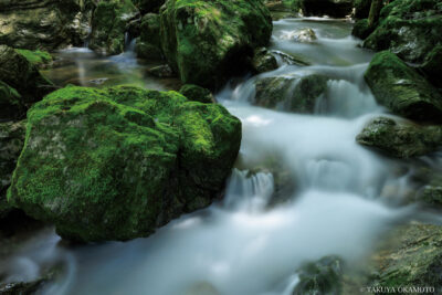 高知県仁淀川町 / 2024