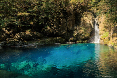 高知県いの町 / 2025