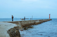鹿島 愛媛県松山市 / 2015